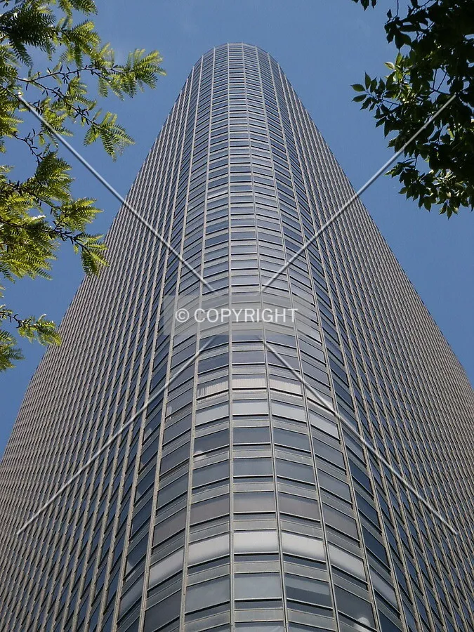 Looking up the west corner