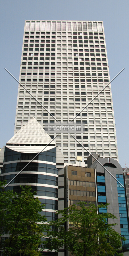 View from the south