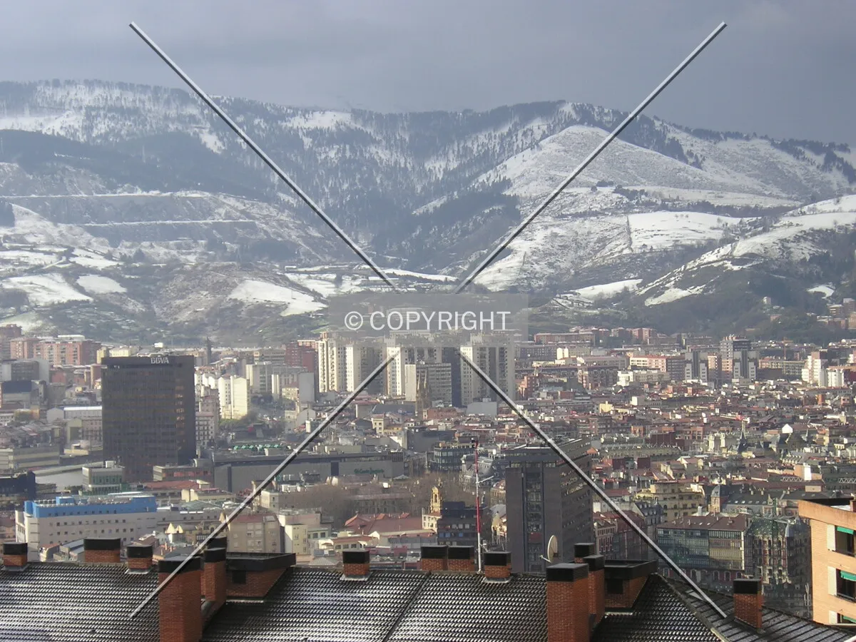 View of the city on a winter day