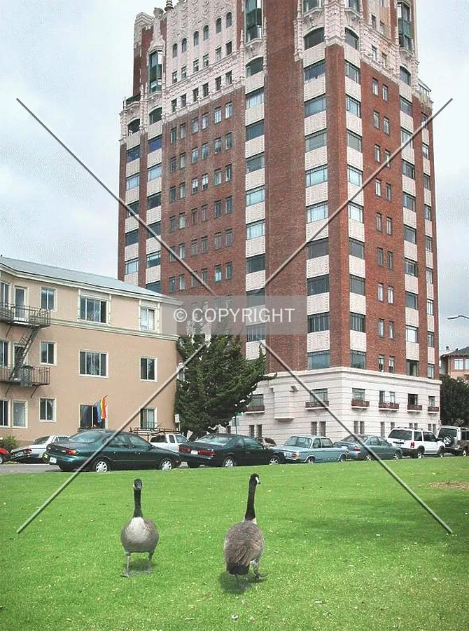 Some of the apartment dwellers' neighbors