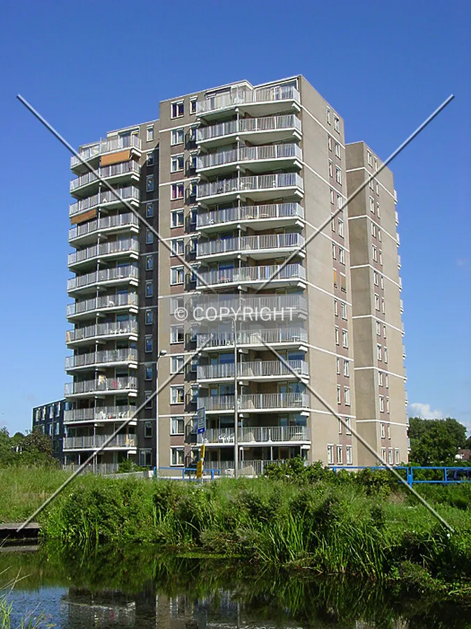 View from the southwest