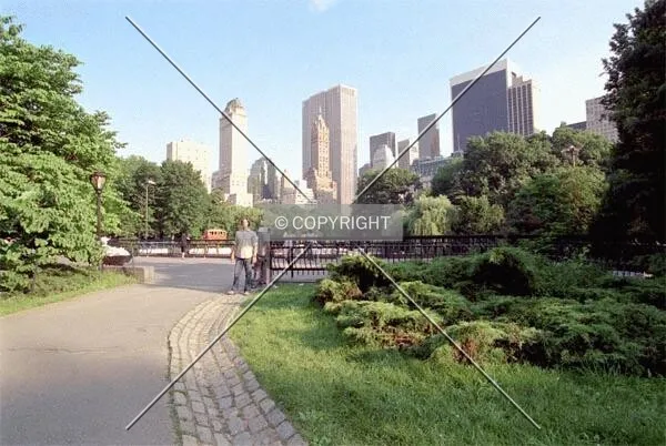 View from Central Park