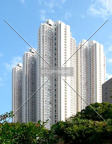 View from Tsing Ping (South) Estate