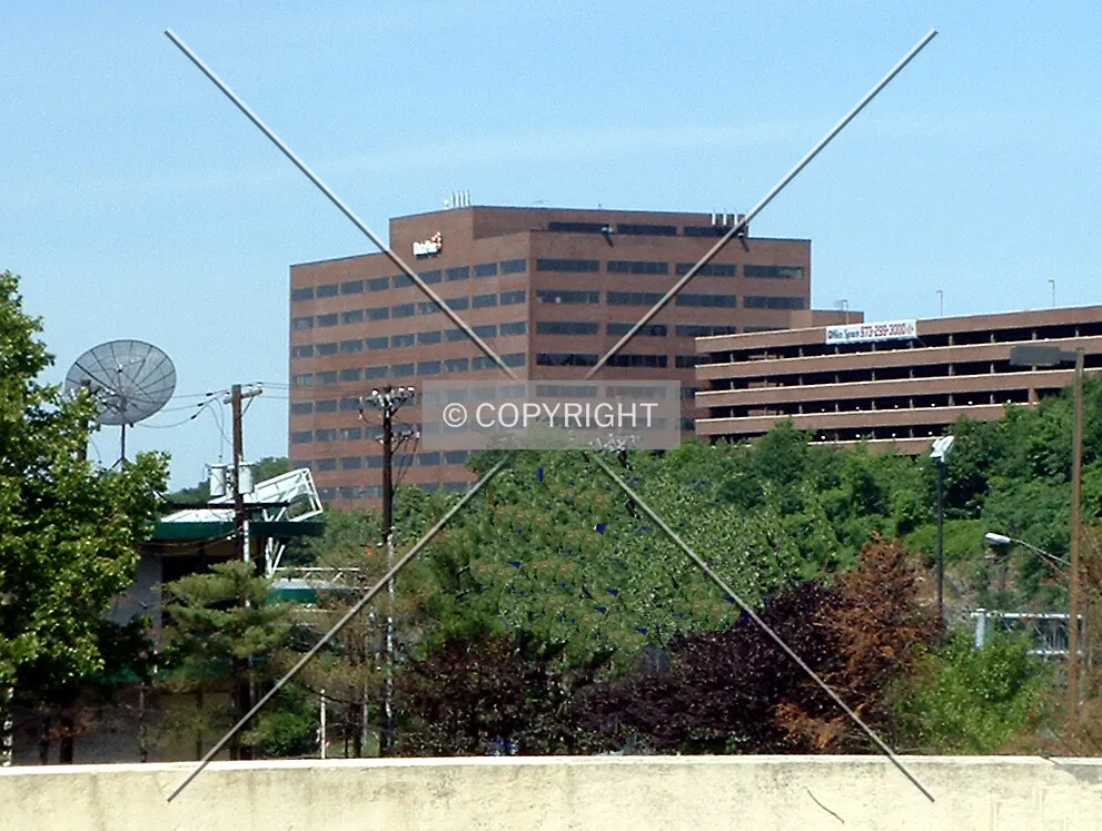 View from the southwest