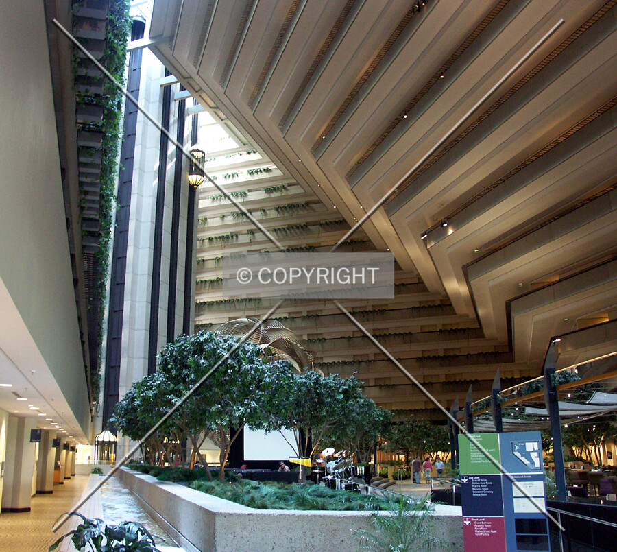 View of the atrium, looking from the east