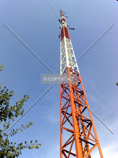 Photo 624-954-442