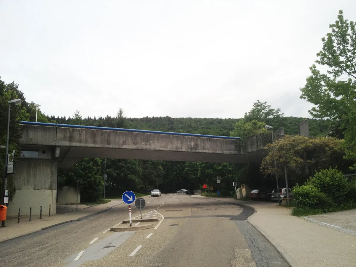 Photo 062-591-091