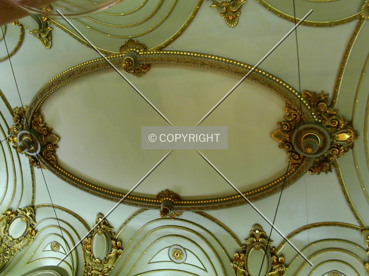 The celling in the exibition hall