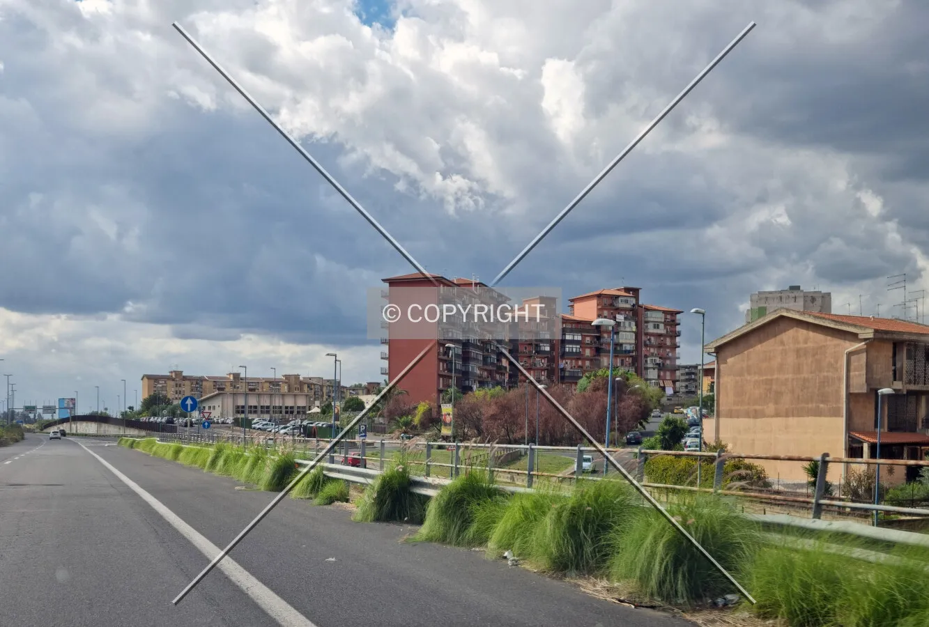Photo 626-125-886