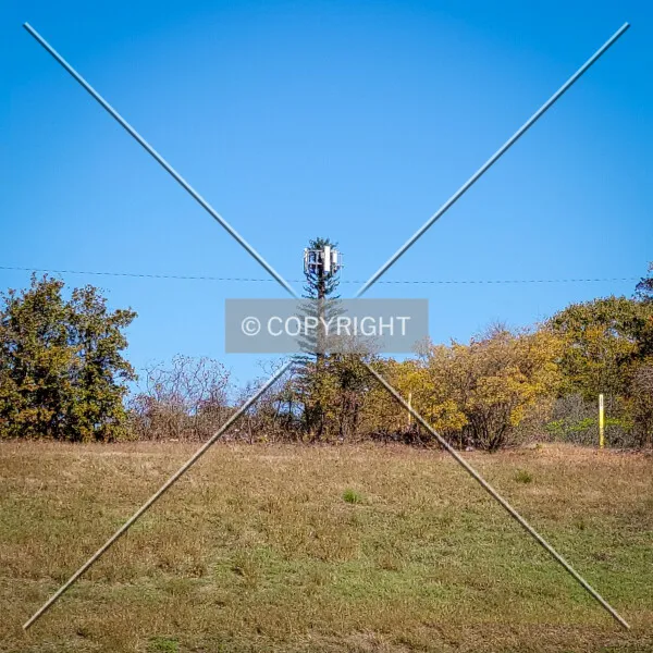 Photo 627-105-716