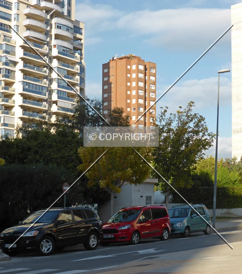Photo 627-230-356