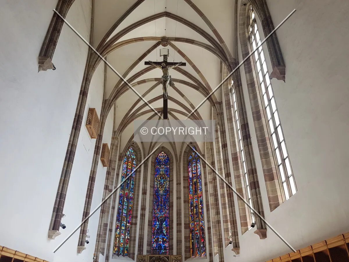 Photo 627-596-239