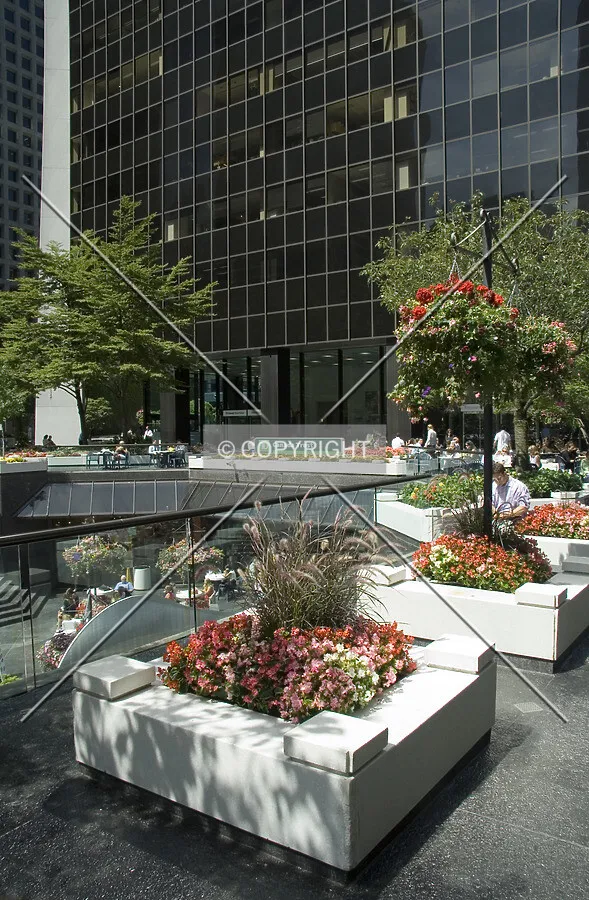Plaza in front of the building