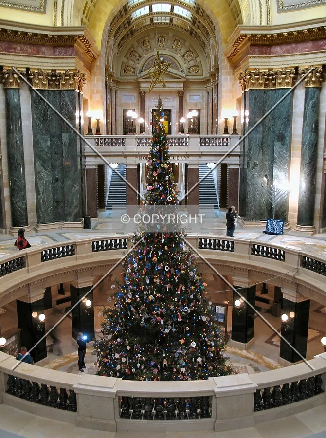 Christmas Tree in the rotunda