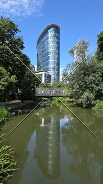 Photo 062-786-990