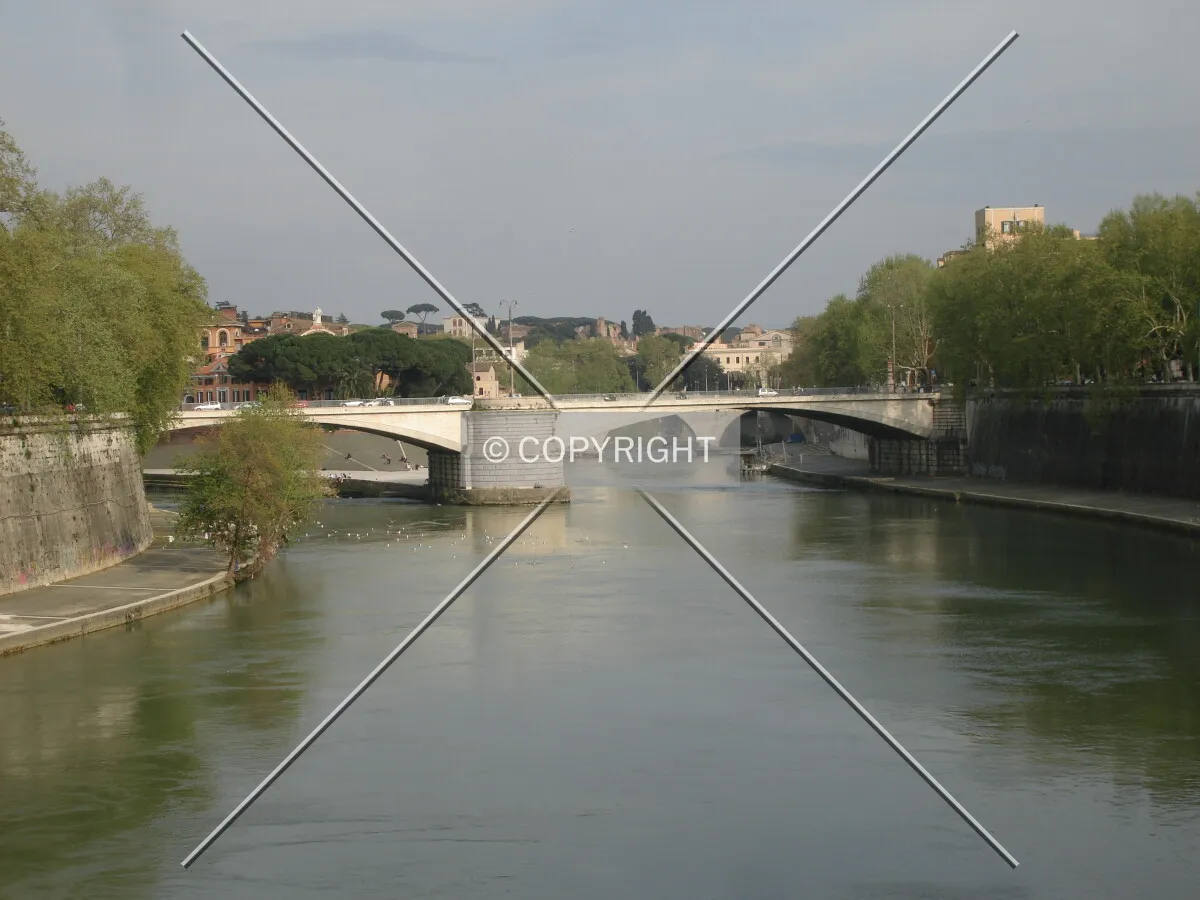 Photo 628-004-688