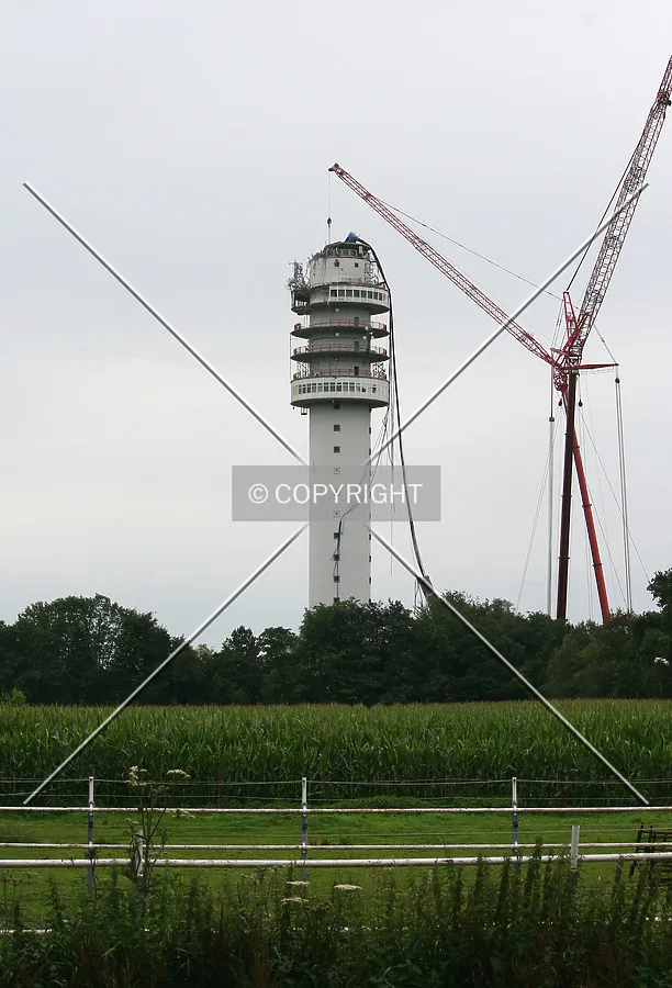 Tower cranes lifting people to inspect the damage