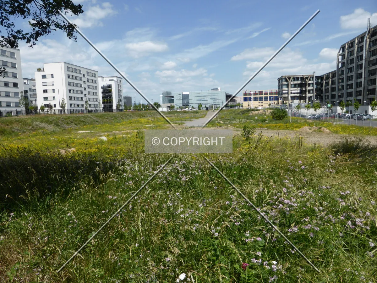 Empty lot in front of the building