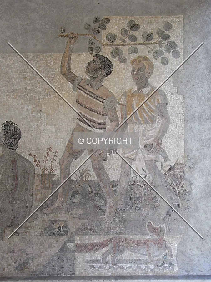 Mosaic on Kollegienhaus Basel
