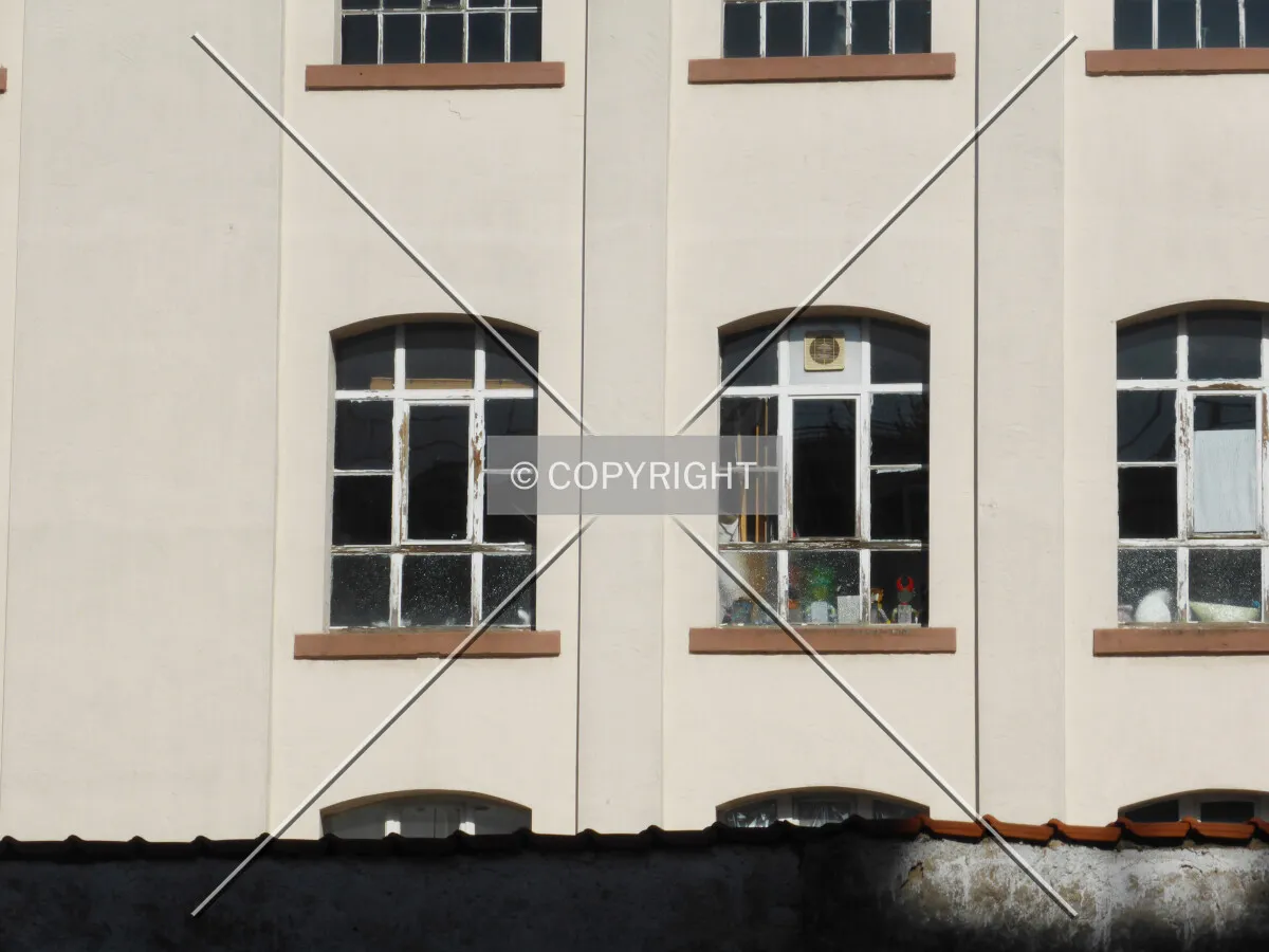 Photo 629-257-343