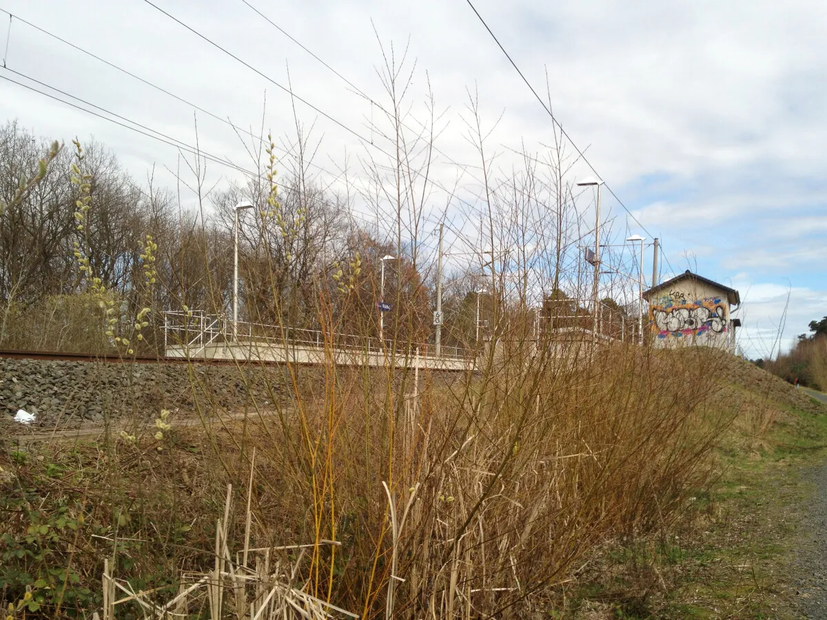 Photo 629-383-357