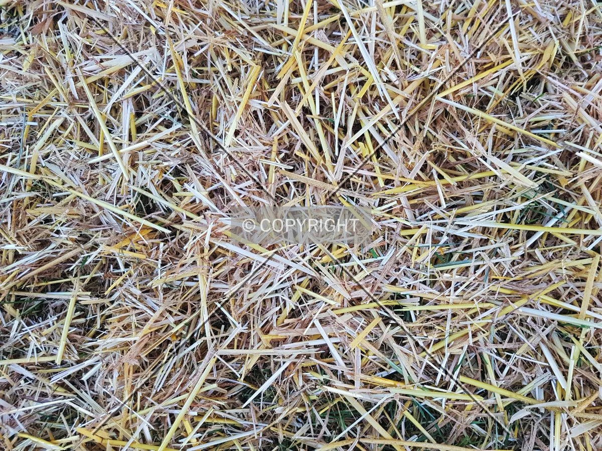 Straw