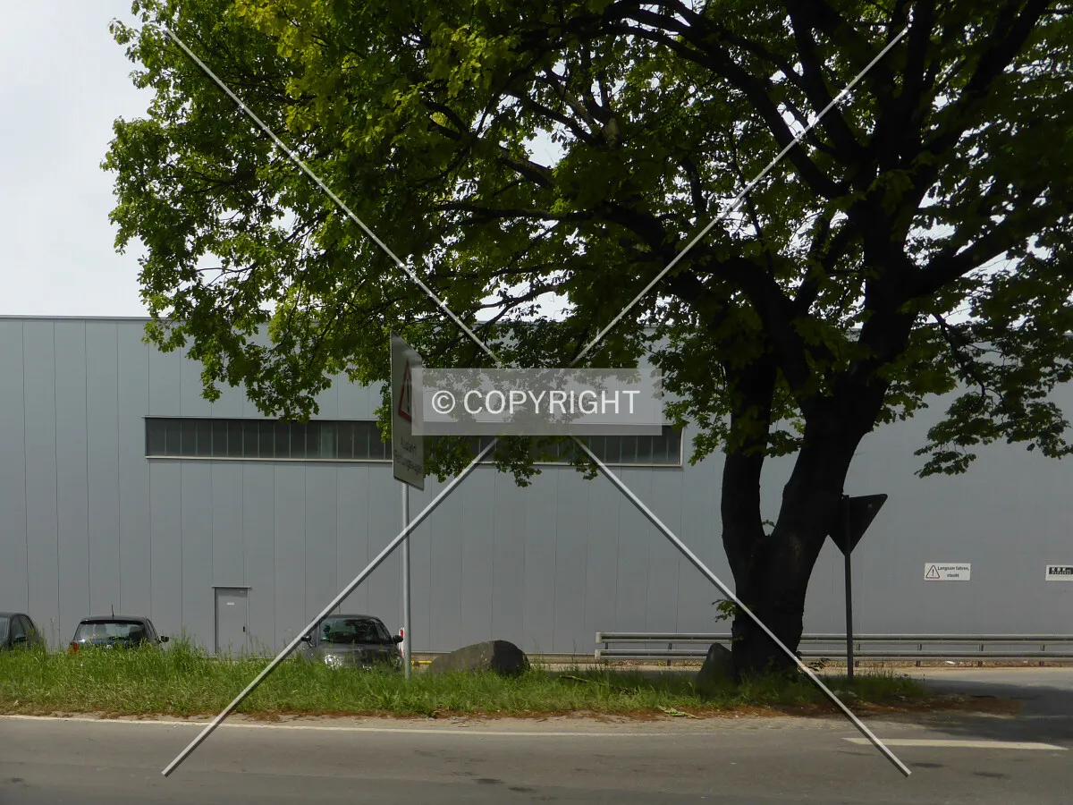Photo 629-558-476
