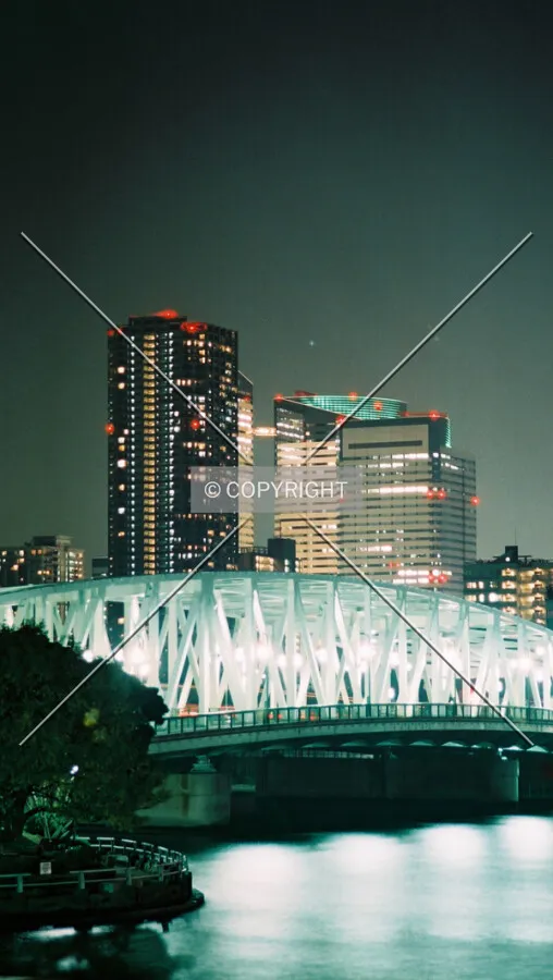 Tsukishima district with Sosei Bridge