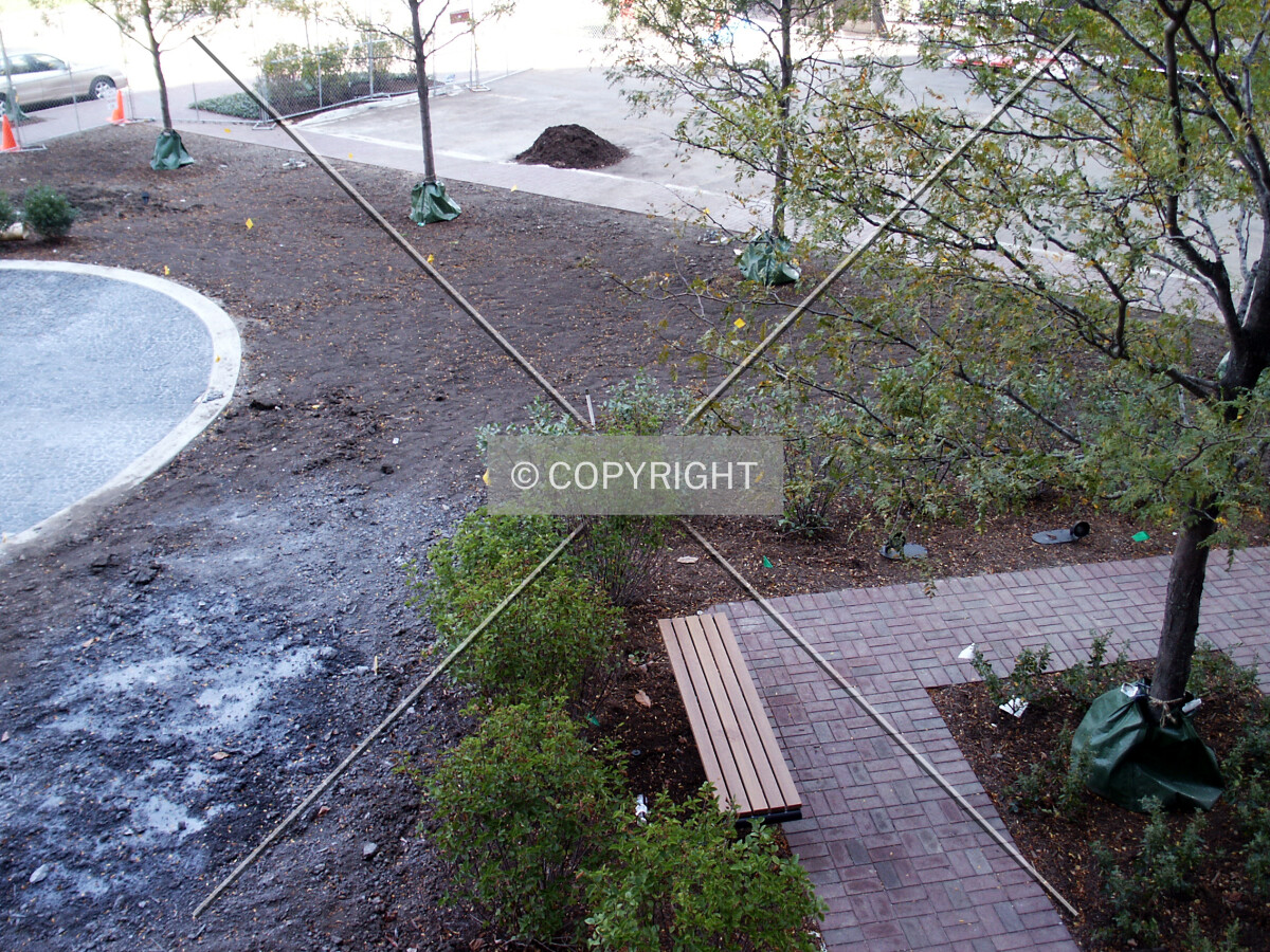 Looking down at the landscaping