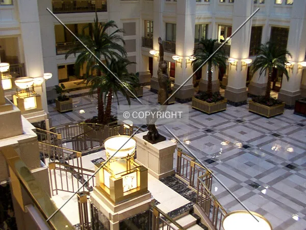 Looking down from the terrace