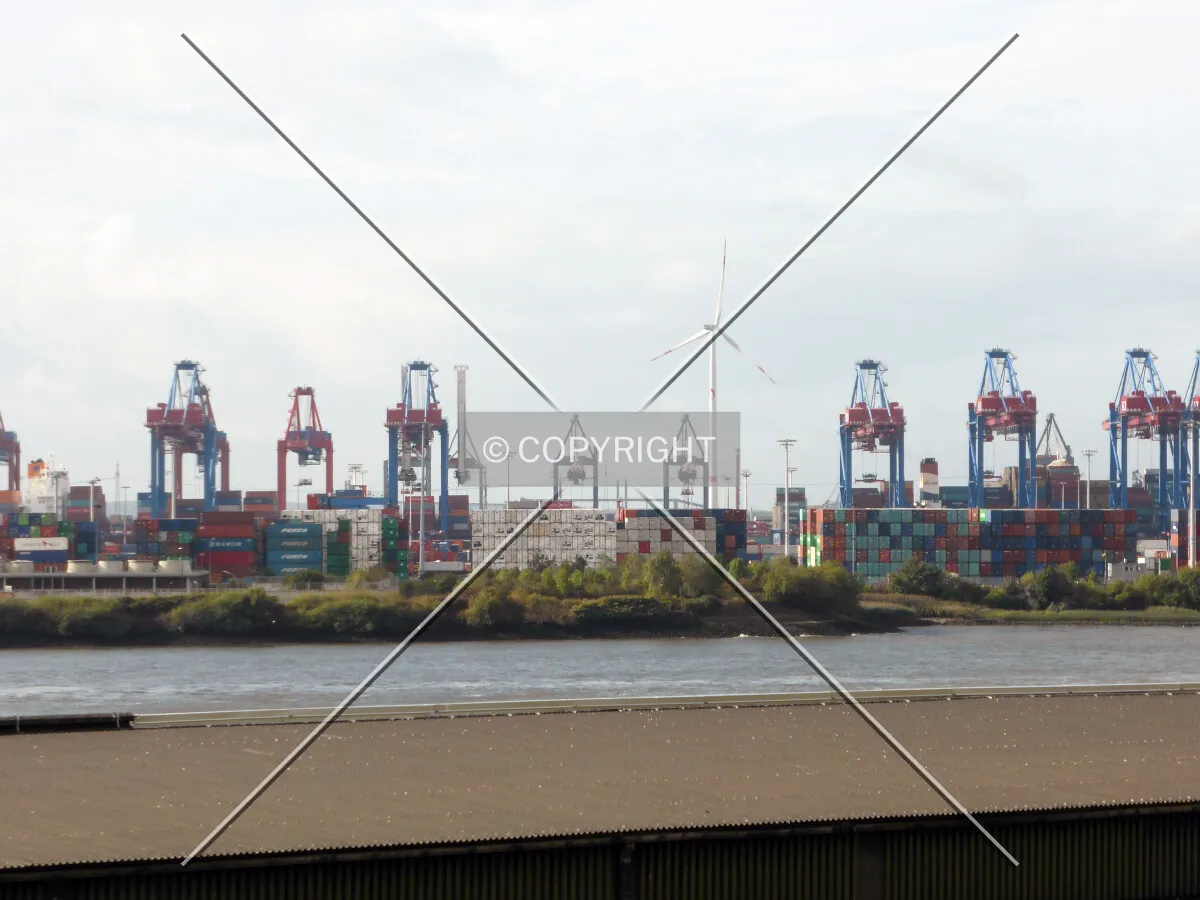 Cranes at the Elbe river