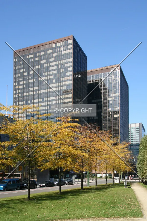 View from the south