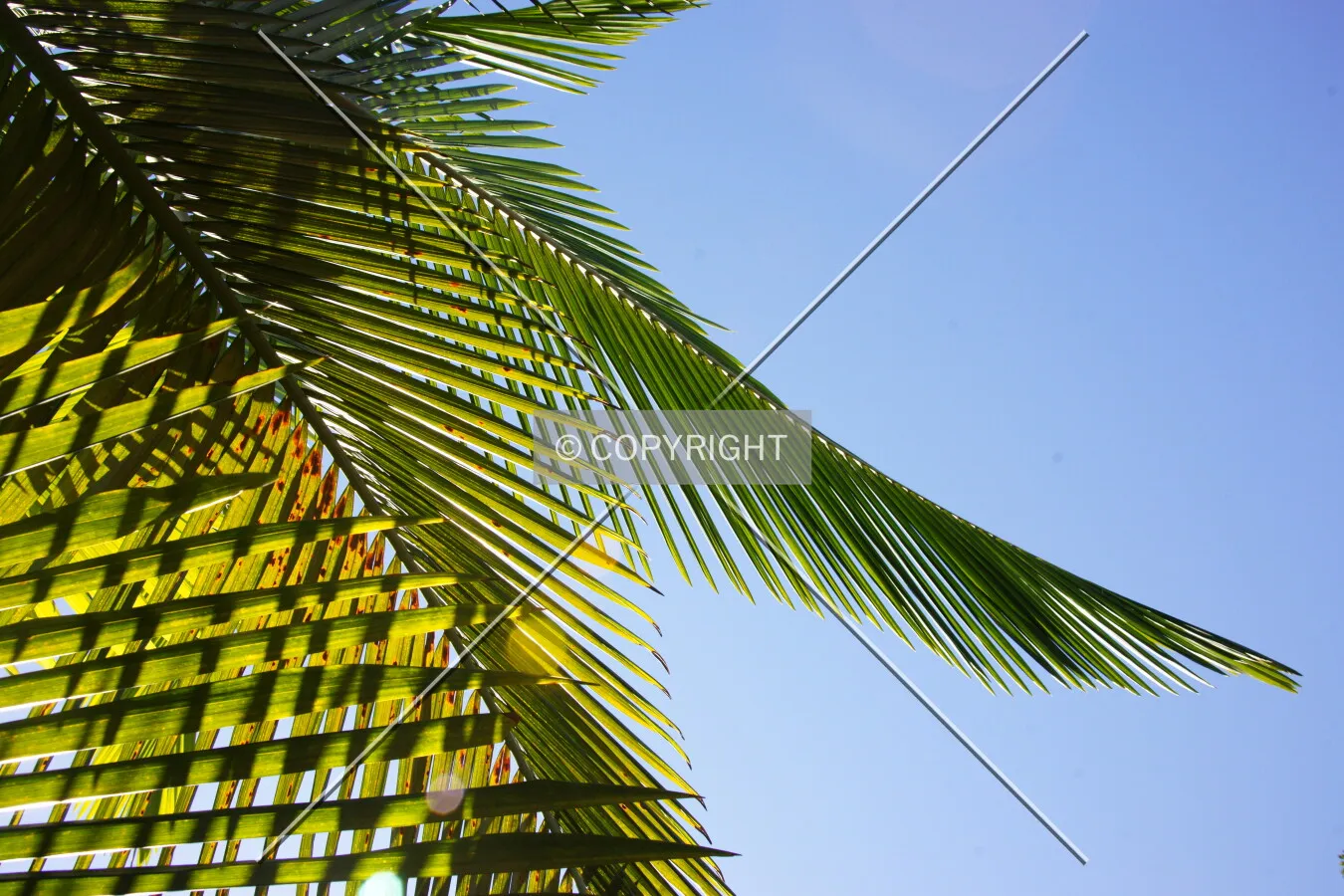 Photo 631-131-030