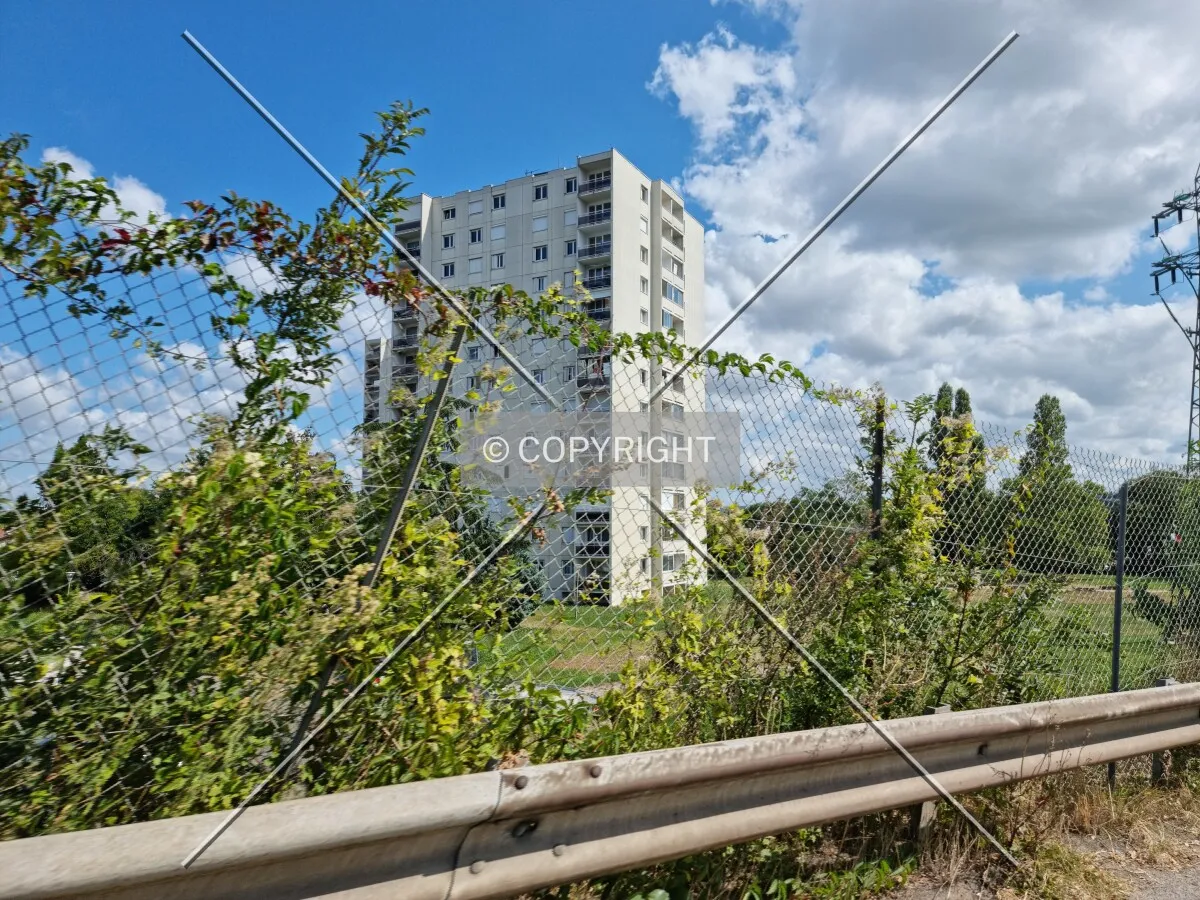 Photo 631-274-495