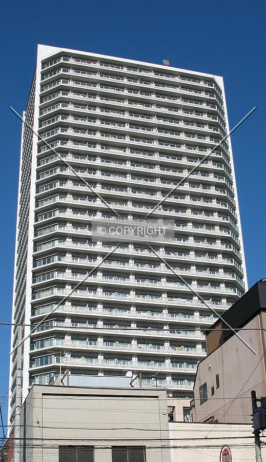 View from the south