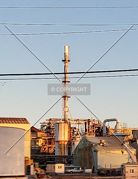 Northwest view; November 24, 2019
