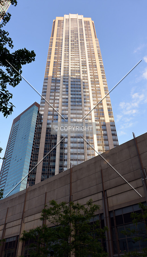 View from the southwest