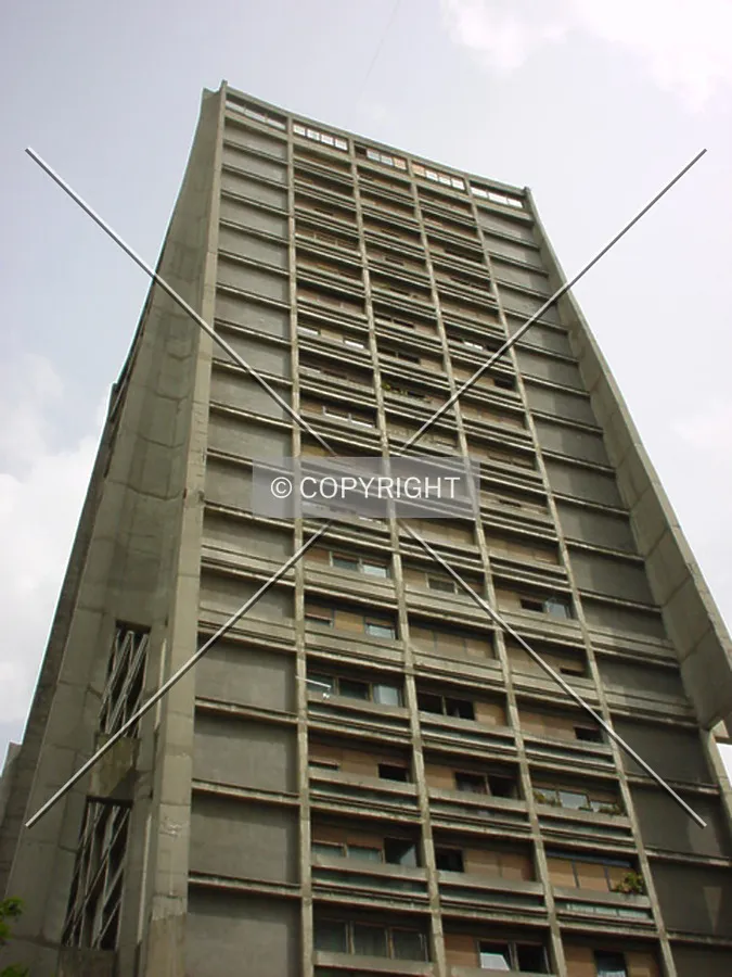 View to the top