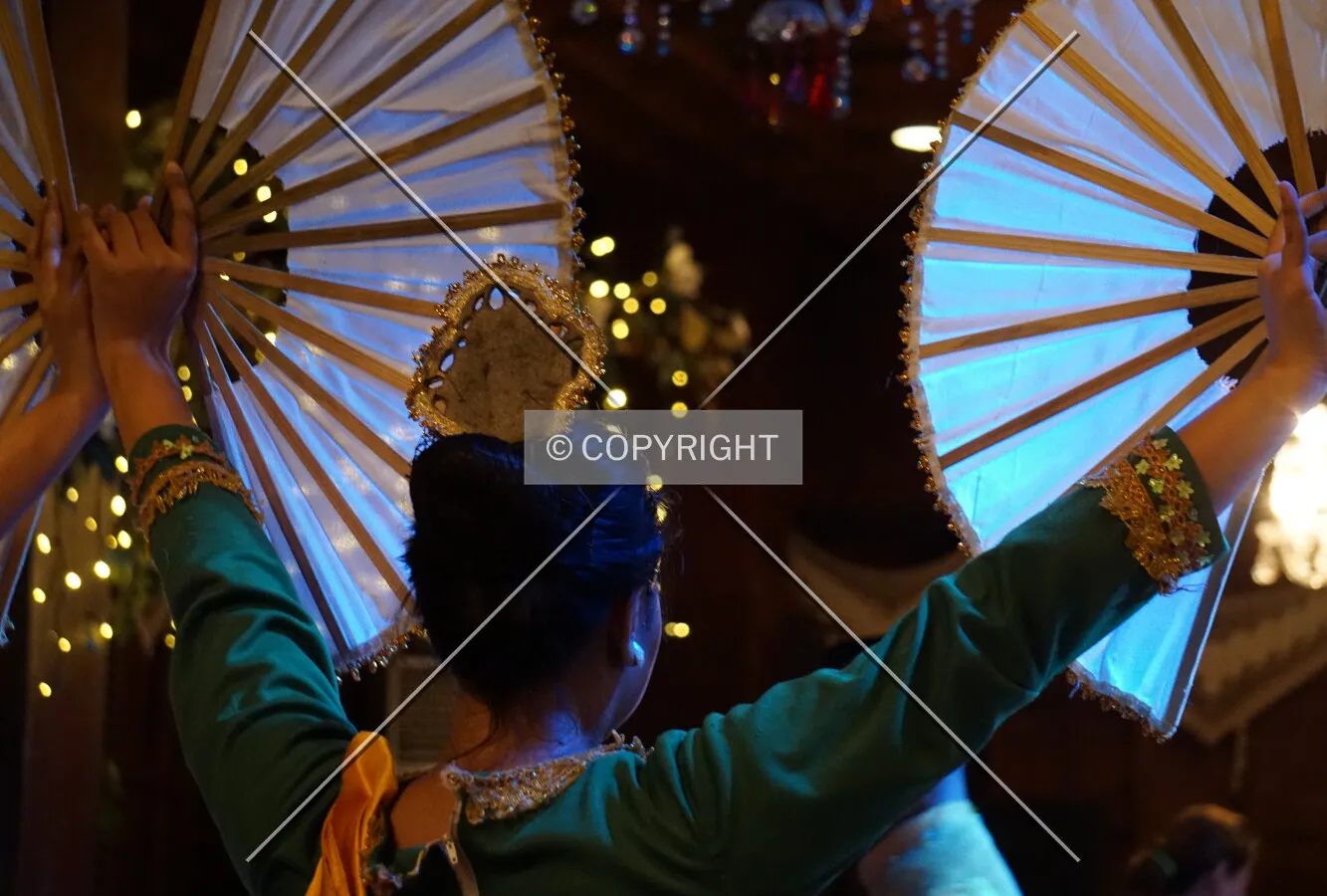 A dancer performing during dinner; February 25, 2018