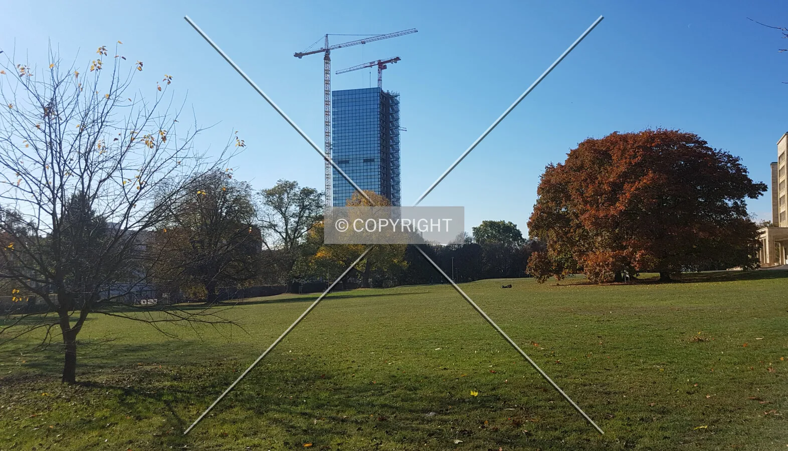 On the Goethe University Campus