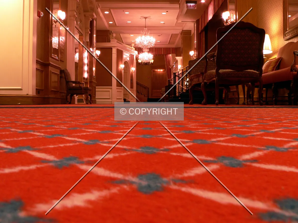 Carpet in one of the hallways