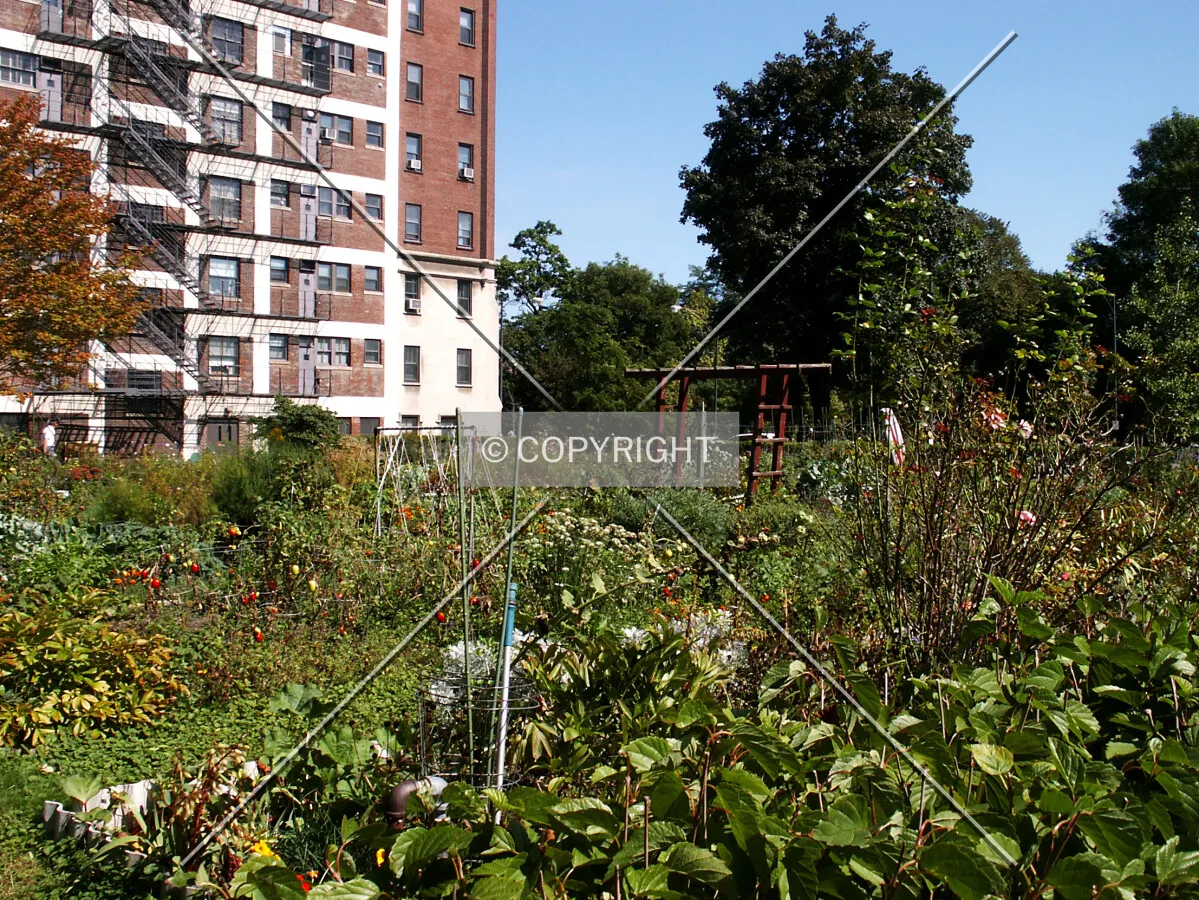 Garden on the south side