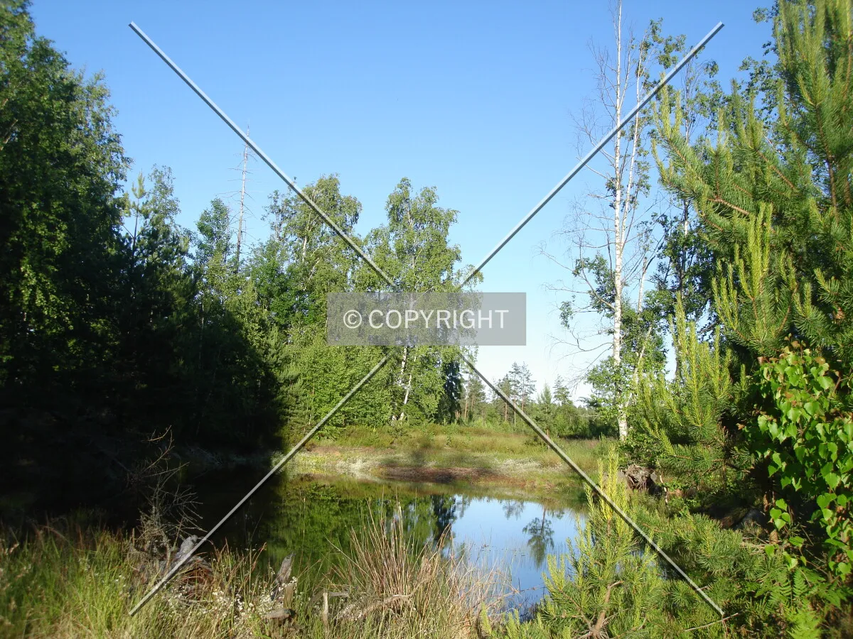 Photo 634-989-474