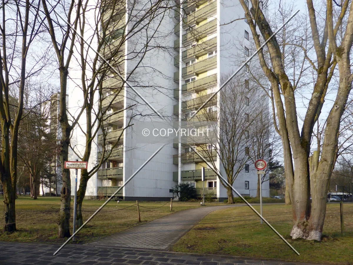 Photo 635-021-519