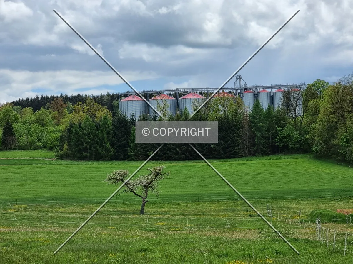 Photo 635-102-826