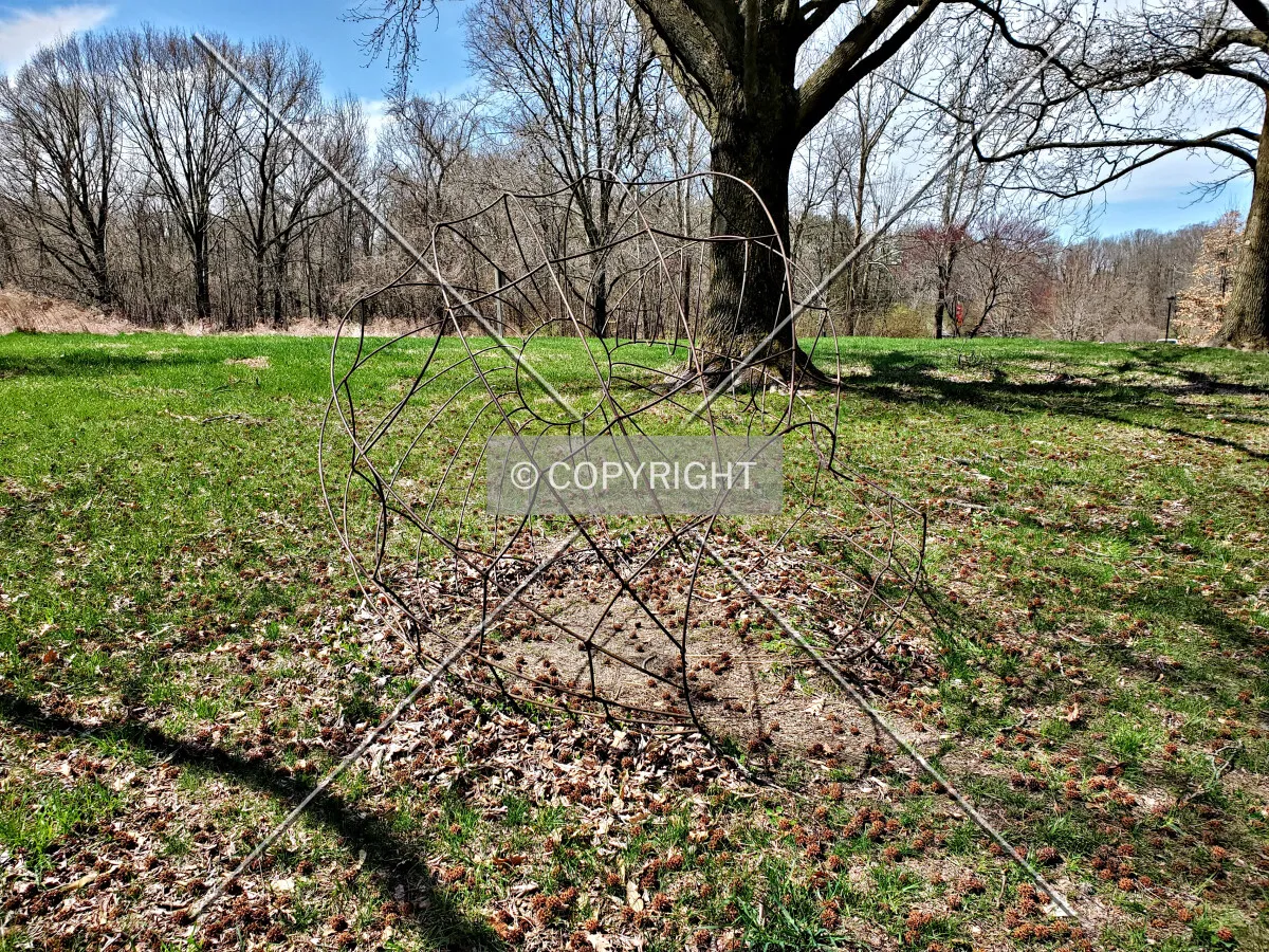 View from the north; March 30, 2020