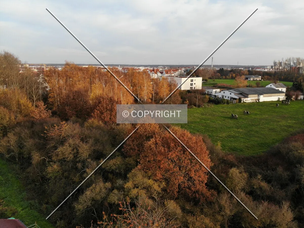 Photo 635-162-733