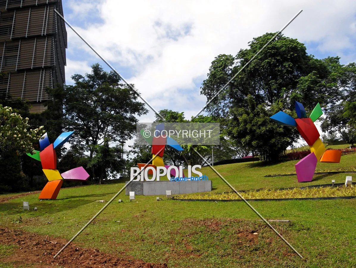 View from Biopolis Way