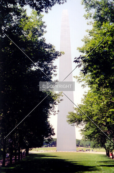 Photo 635-679-442