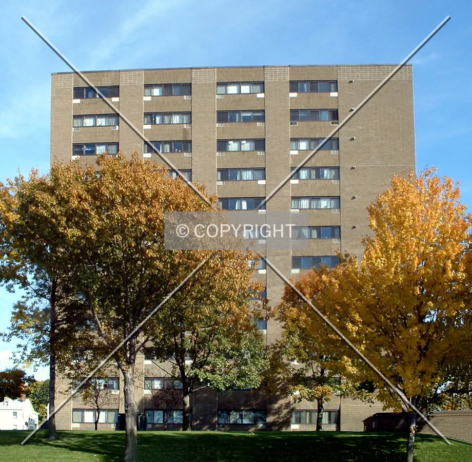 View from the west